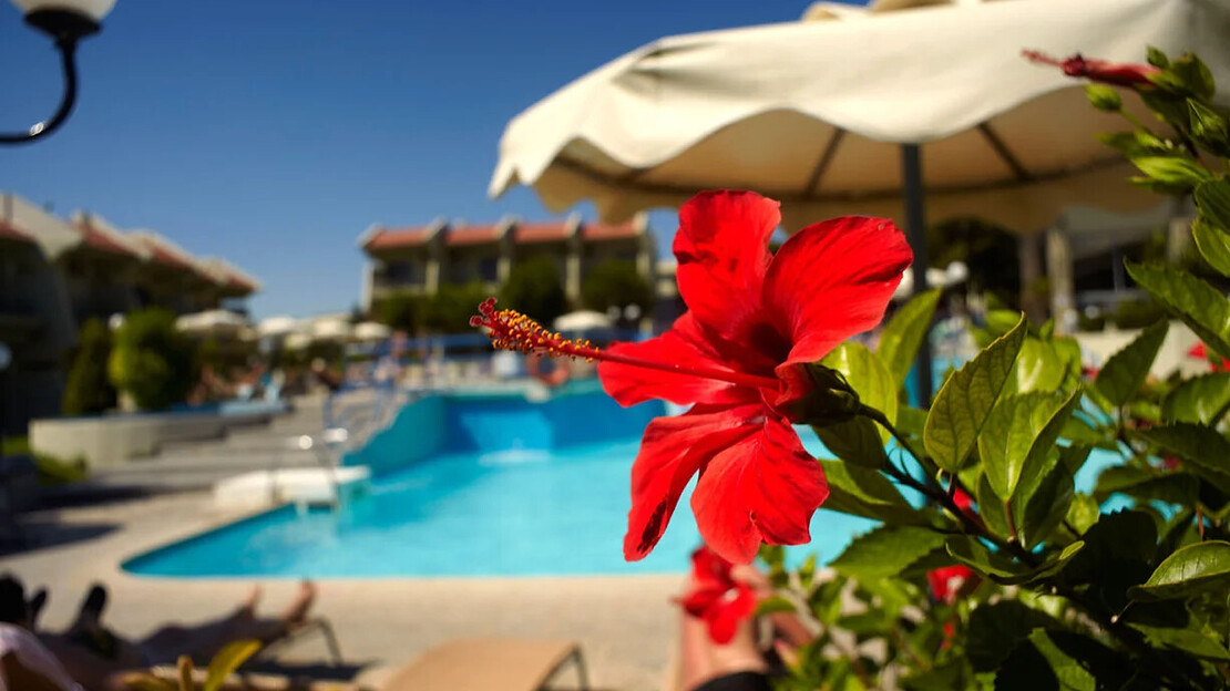 Virginia Family Resort